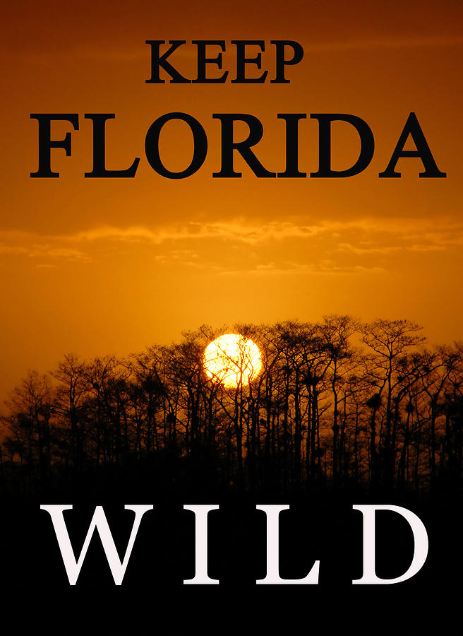 Keep Florida Wild Photograph by David Lee Thompson