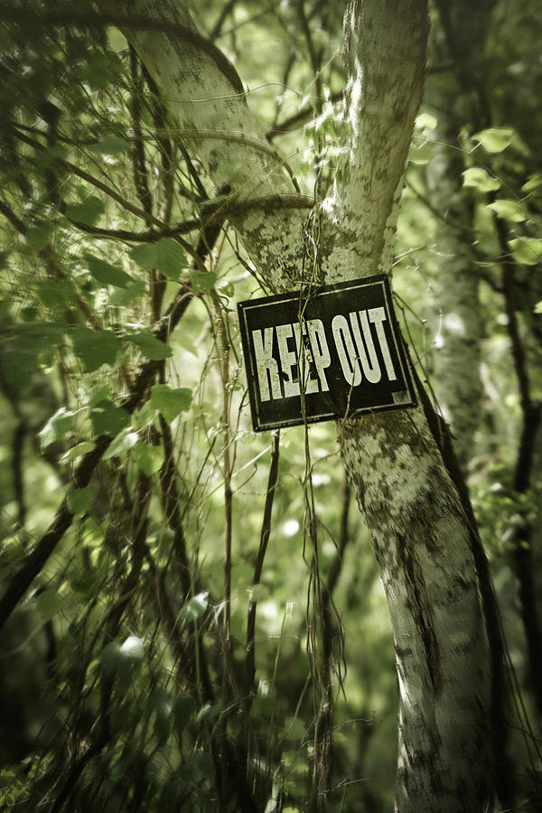 Keep Out Island Photograph by Trish Mistric