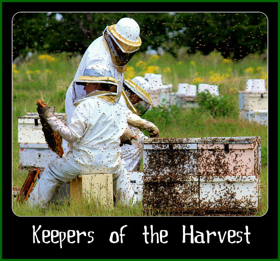 Keepers of the Harvest Photograph by Roxie Crouch