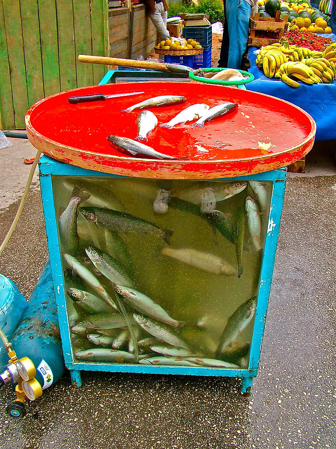 Keeping Fish Fresh in New City Street Market in Antalya-Turkey Photograph by Ruth Hager