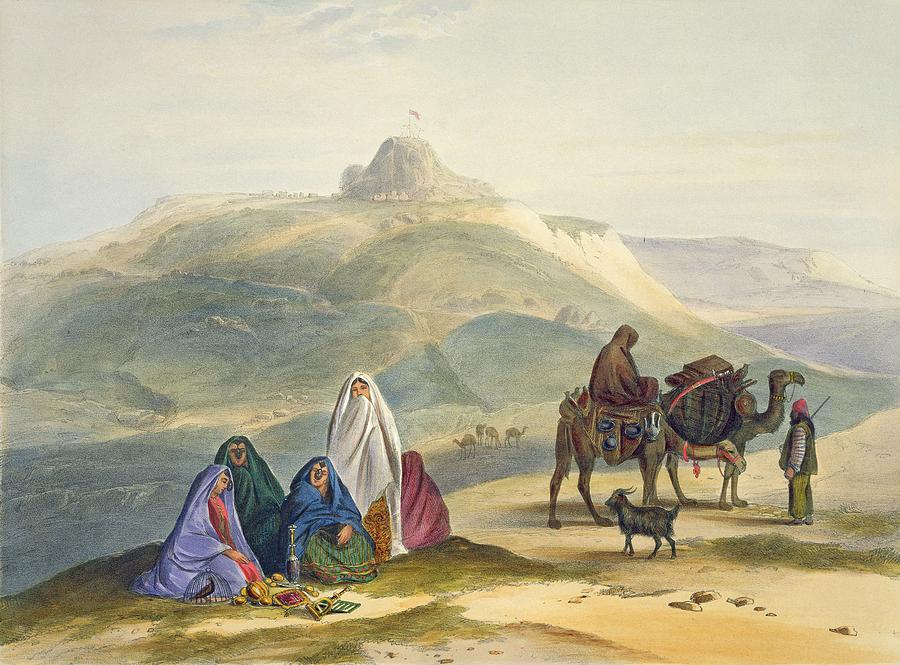 Camel Drawing - Kelaut-i-chiljie, Plate 8 From Scenery by James Rattray