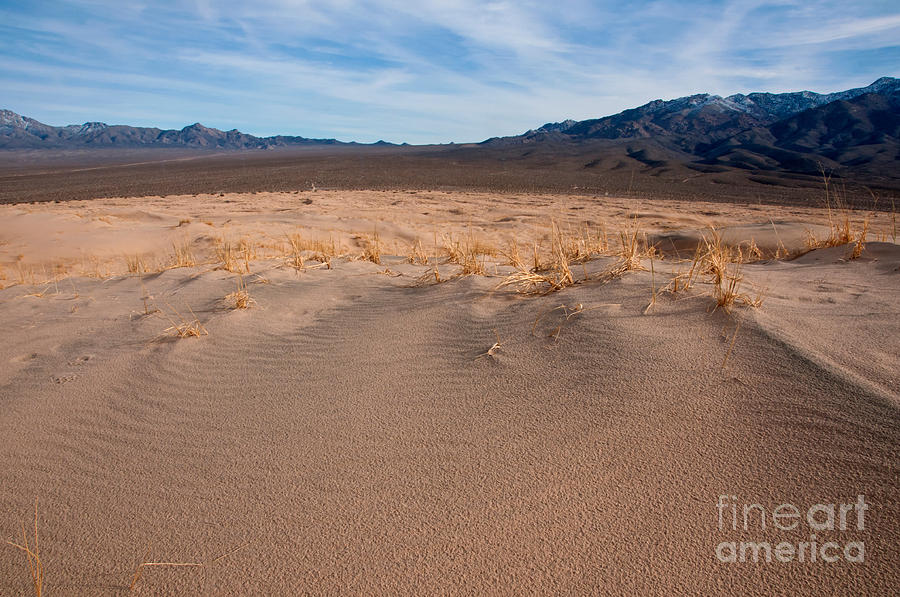 Kelso Dunes, Mojave National Preserve Photograph By Mark Newman - Pixels