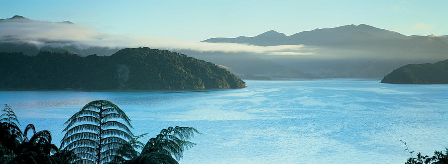 Kenepuru, Marlborough Sound, New Zealand Photograph by Panoramic Images