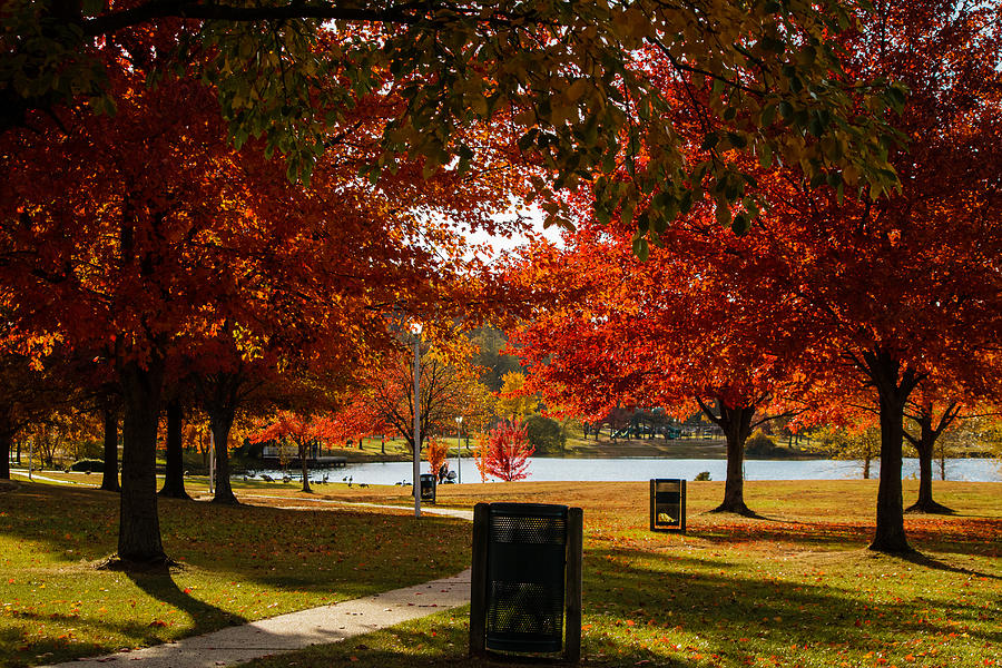 Kennedy Park in Fall Photograph by SAURAVphoto Online Store