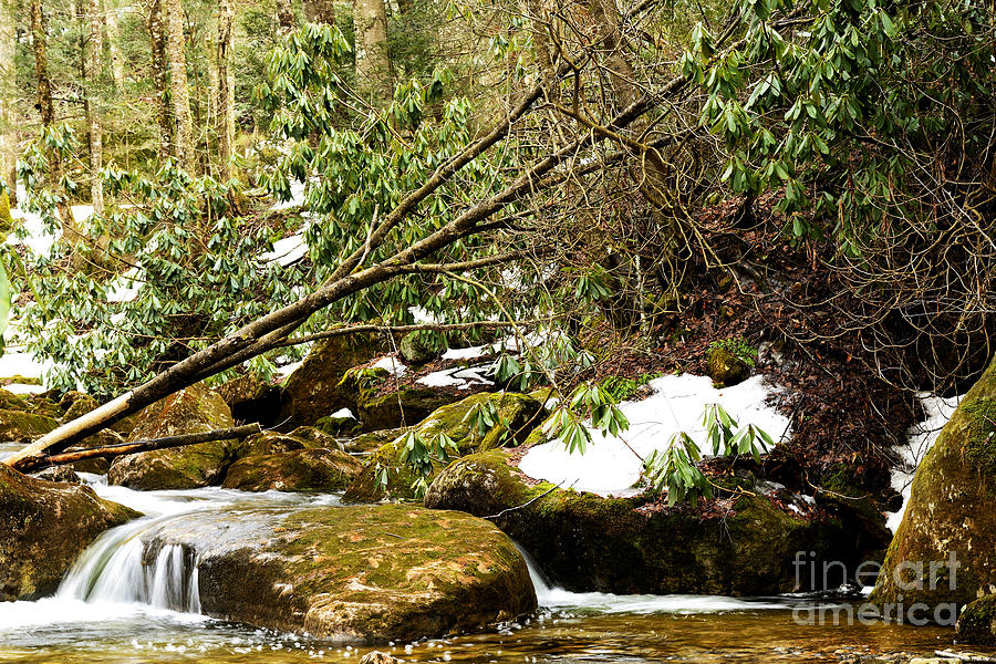 Snow Photograph - Kens Creek Spring by Thomas R Fletcher