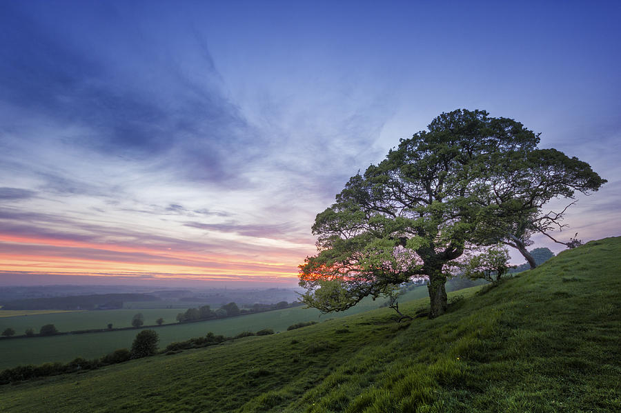 Sunset Photograph - Kent Countryside by Ian Hufton