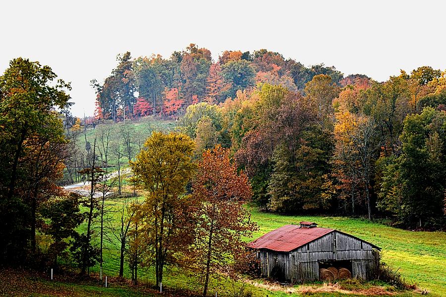Kentucky Autumn Photograph by William Stewart