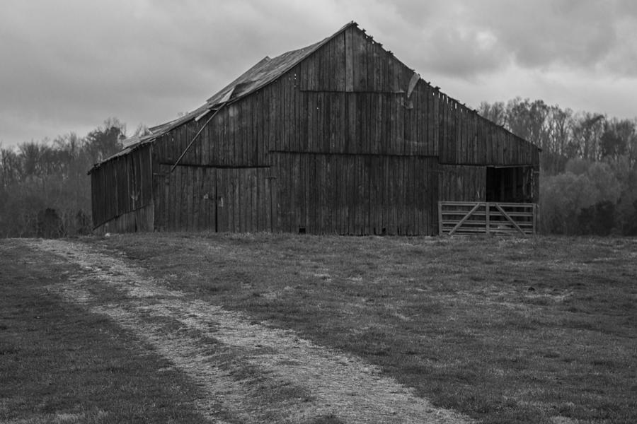 Kentucky Barn and Path Photograph by John McGraw
