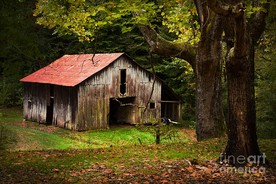 Kentucky Barn Photograph by Lena Auxier
