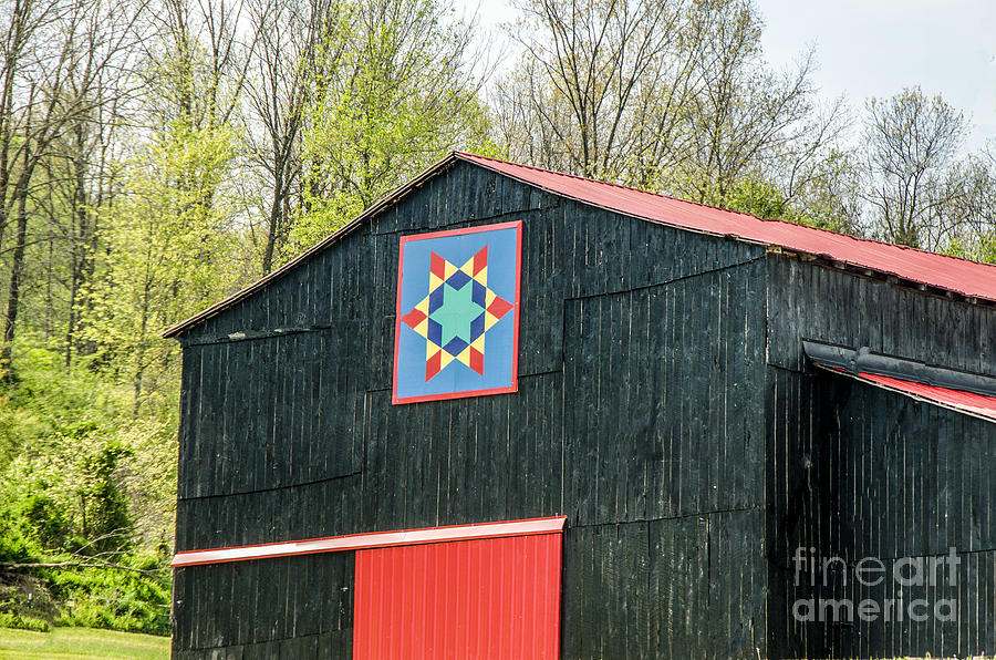 Kentucky Barn Quilt - 2 Photograph by Mary Carol Story