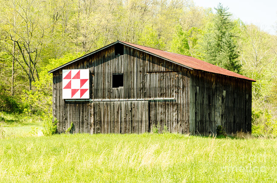Architecture Photograph - Kentucky Barn Quilt - Flying Geese by Mary Carol Story