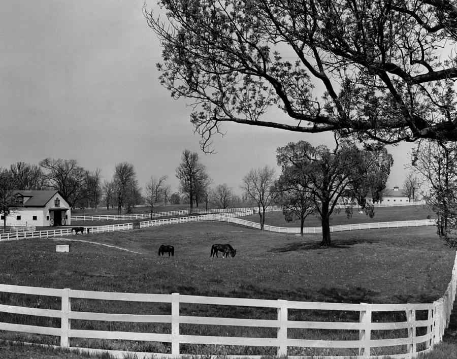 Kentucky Bluegrass Horse Racing Photograph by Retro Images Archive