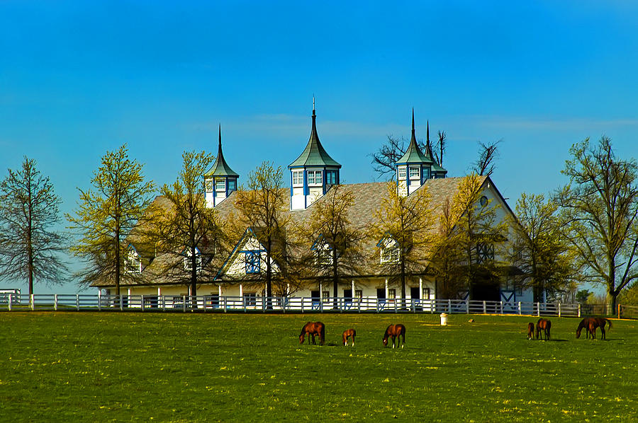 Kentucky horse Barn Hotel Photograph by Randall Branham