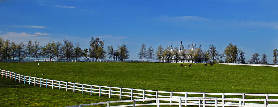 Kentucky Horse Barn Photograph by Randall Branham
