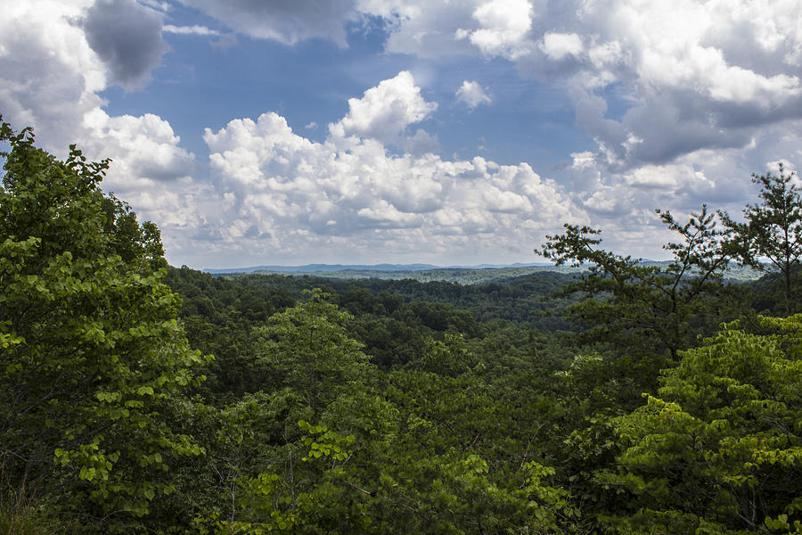 Kentucky Landscape Photograph by John McGraw