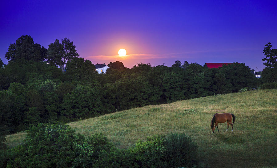 Kentucky moonrise Photograph by Alexey Stiop
