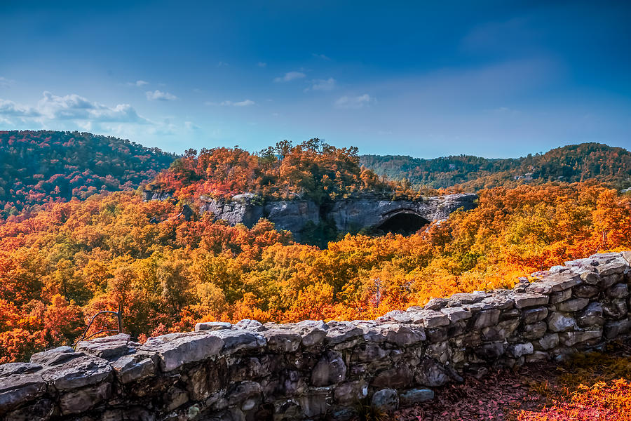 Daniel Boone National Forest Photograph - Kentucky - Natural Arch Scenic Area by Ron Pate