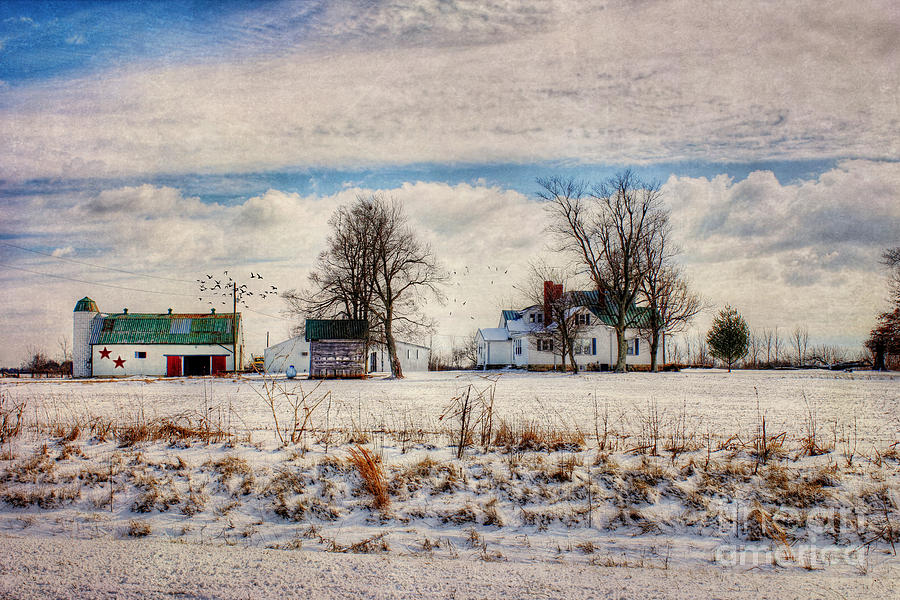Winter Photograph - Kentucky Snow Day by Darren Fisher
