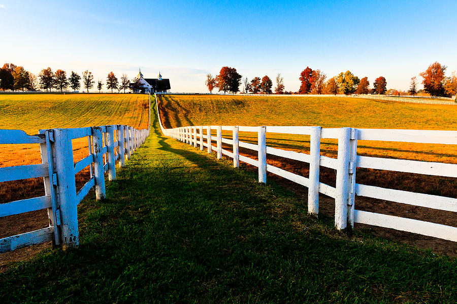 Kentucky Thoroughbred Farm  Photograph by Ben Graham