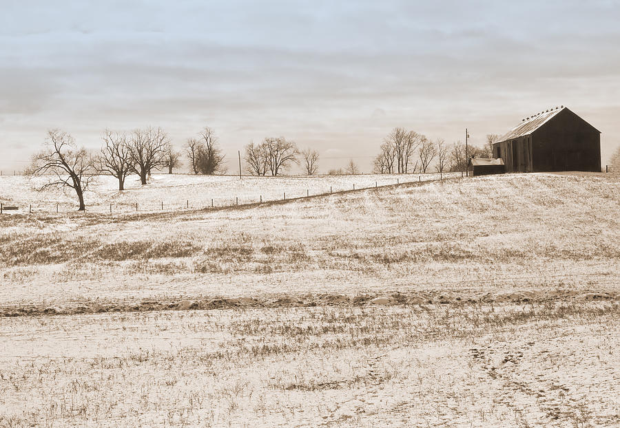 Kentucky Winter Photograph by Melinda Fawver
