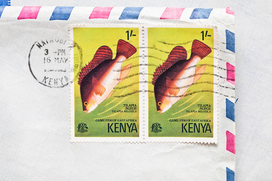 Vintage Photograph - Kenya Stamps by Tom Gowanlock