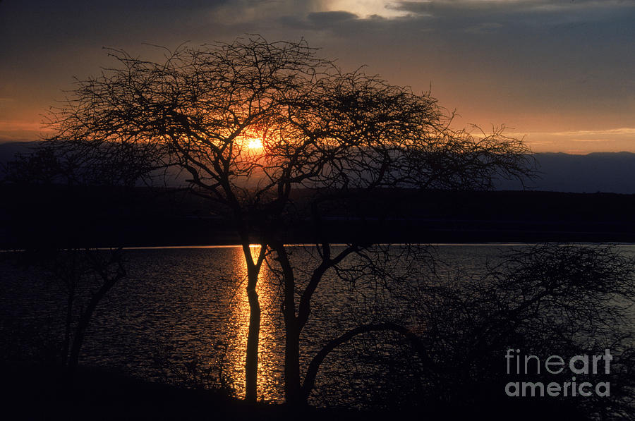 Kenyan Sunset Photograph by Gregory G. Dimijian, M.D.