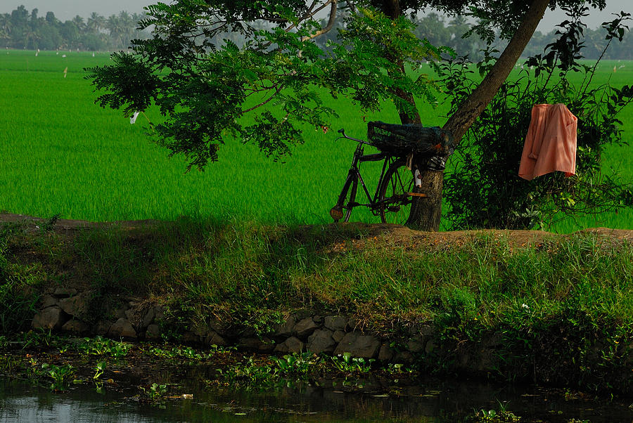 Bicycle Photograph - Kerala Still Life by Stefan Carpenter