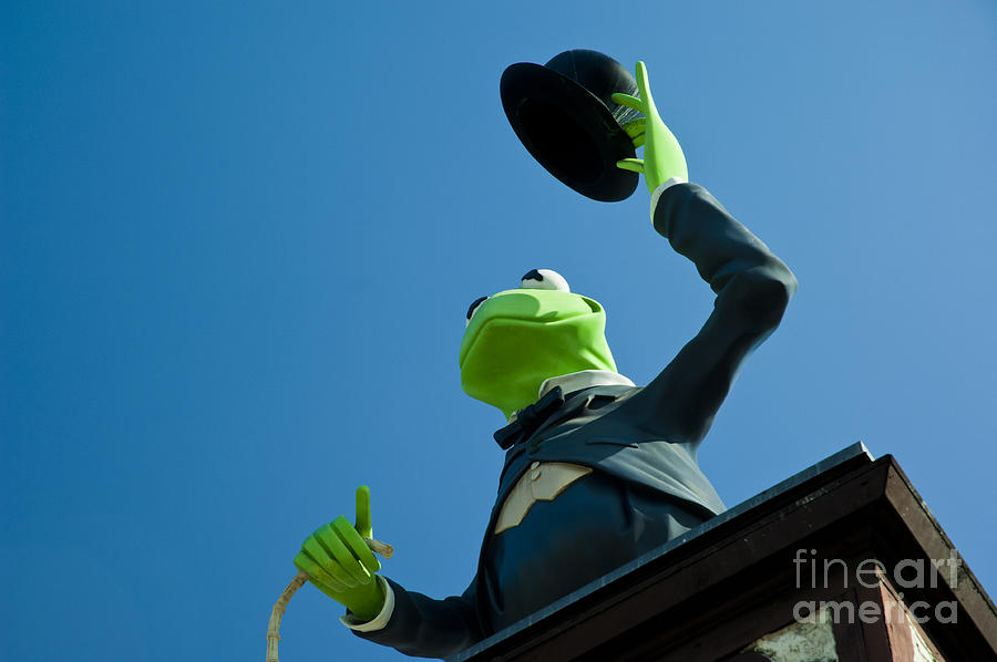 Kermit the Frog Photograph by Micah May