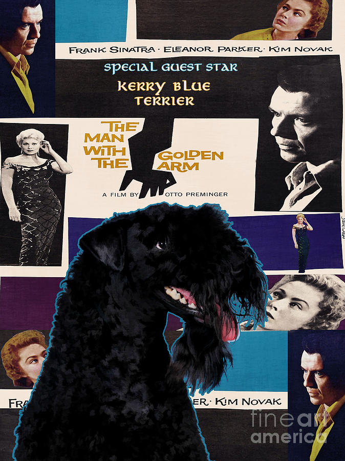 Kerry Blue Terrier Art Canvas Print - The Man with the Golden Arm Movie Poster Painting by Sandra Sij