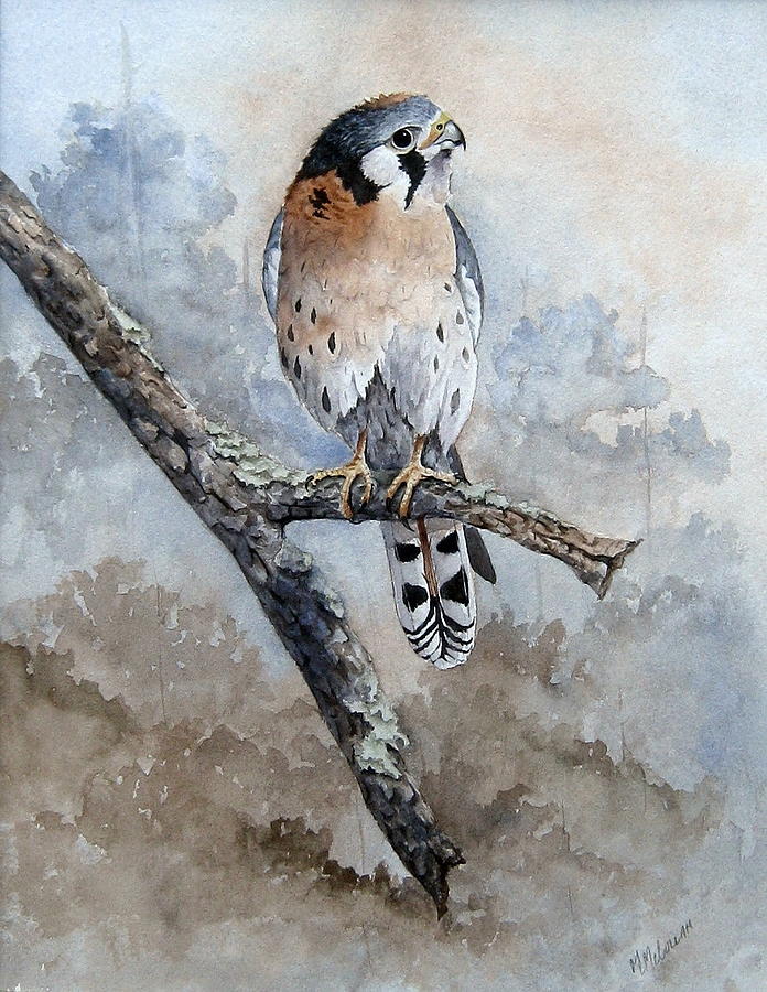 Kestrel Perch Painting by Mary McCullah