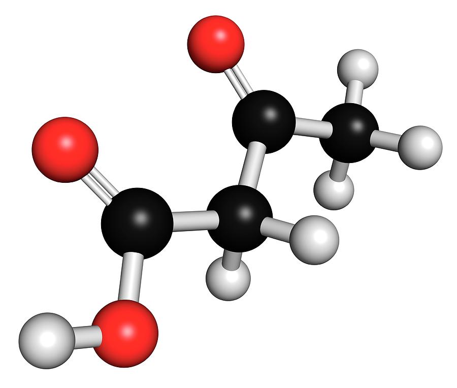 Ketone Body Molecule Photograph by Molekuul