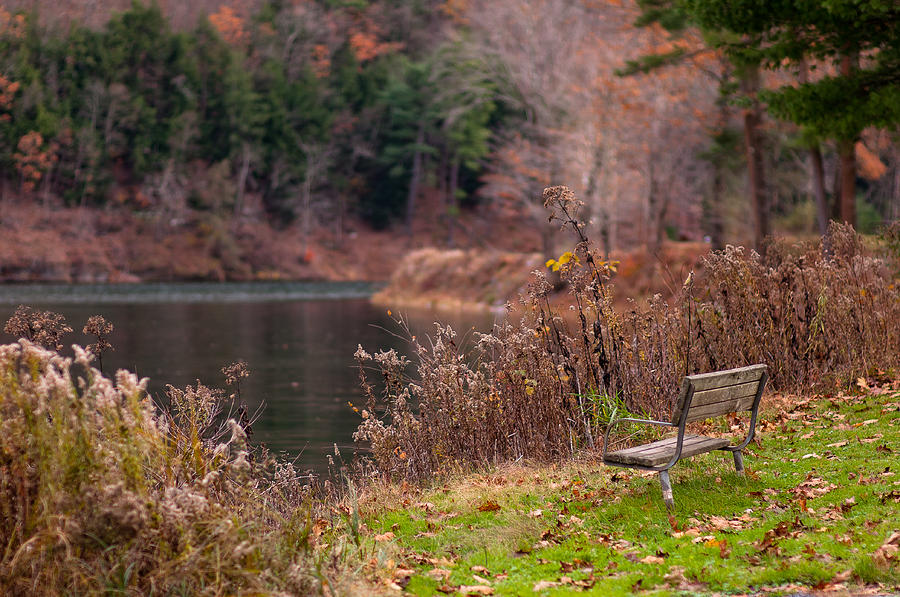 Fall Photograph - Kettle Creek Lake Bench by Scott Hafer