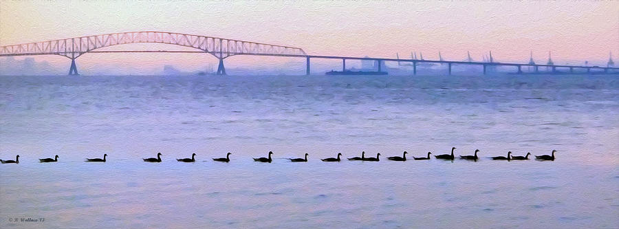 Key Bridge and Waterfowl Photograph by Brian Wallace