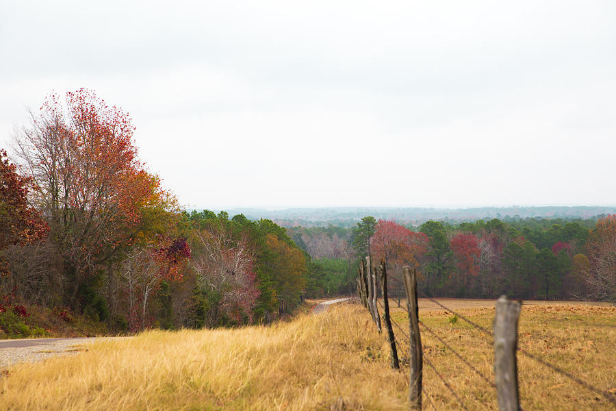 Fall Photograph - Key Hill 2 by Mez
