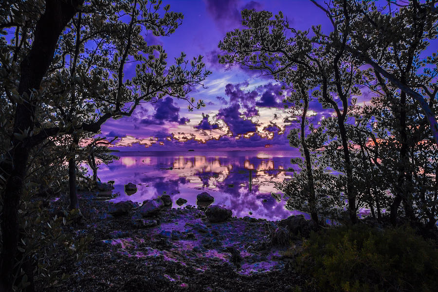 Key Largo Sunset Photograph by George Kenhan