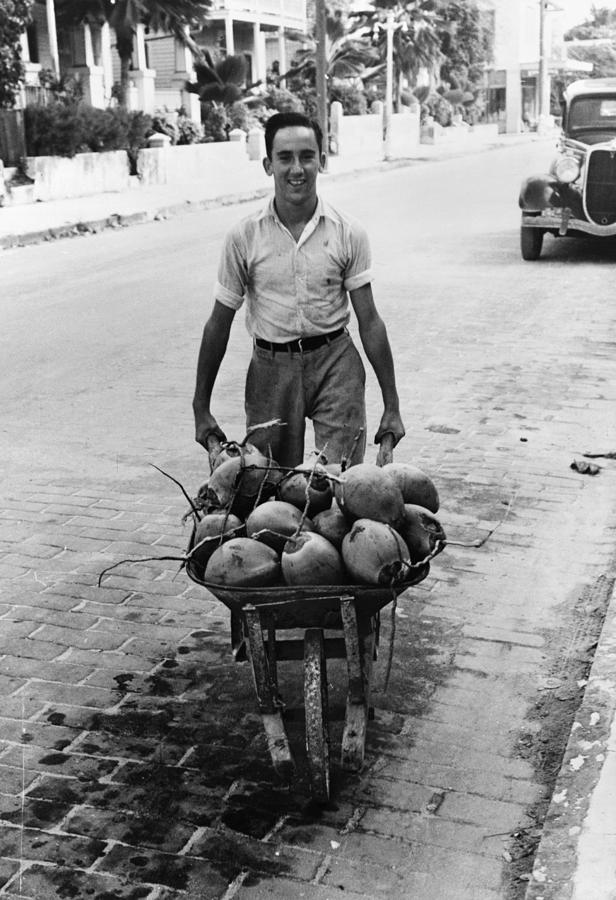 Key West Coconuts, 1938 Photograph by Granger