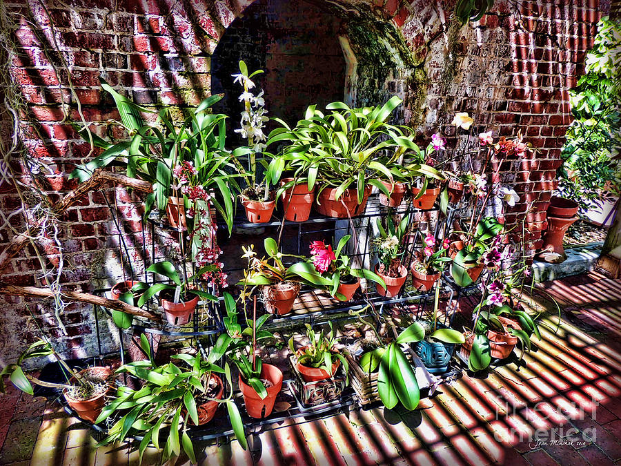 Pot Photograph - Key West Garden Club Pots by Joan  Minchak