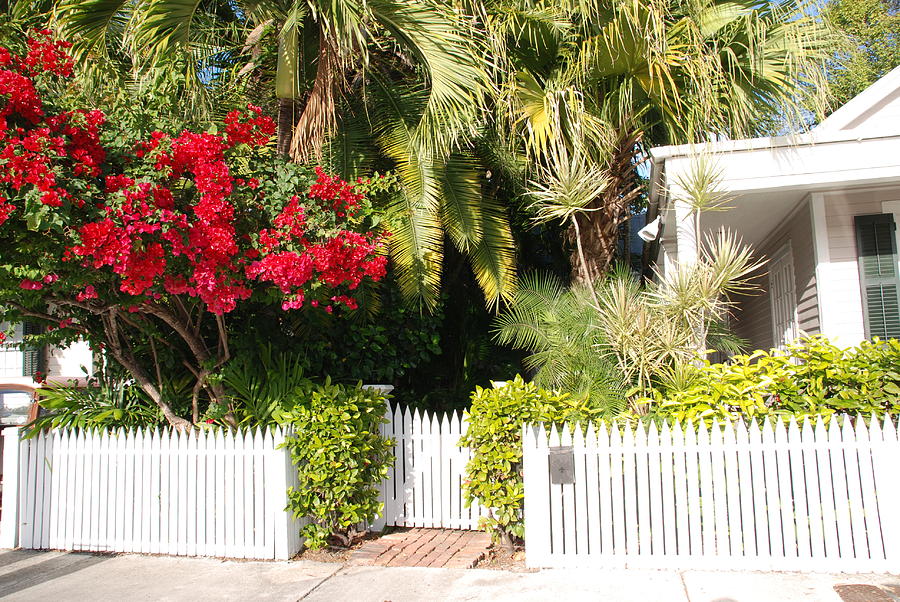 Key West Houses and Gardens Photograph by Susanne Van Hulst
