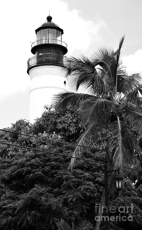 Key West Lighthouse Above Palm and Mimosa Trees Florida Black and White Photograph by Shawn OBrien