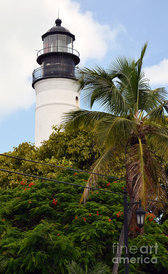 Key West Lighthouse Above Palm and Mimosa Trees Florida Photograph by Shawn OBrien