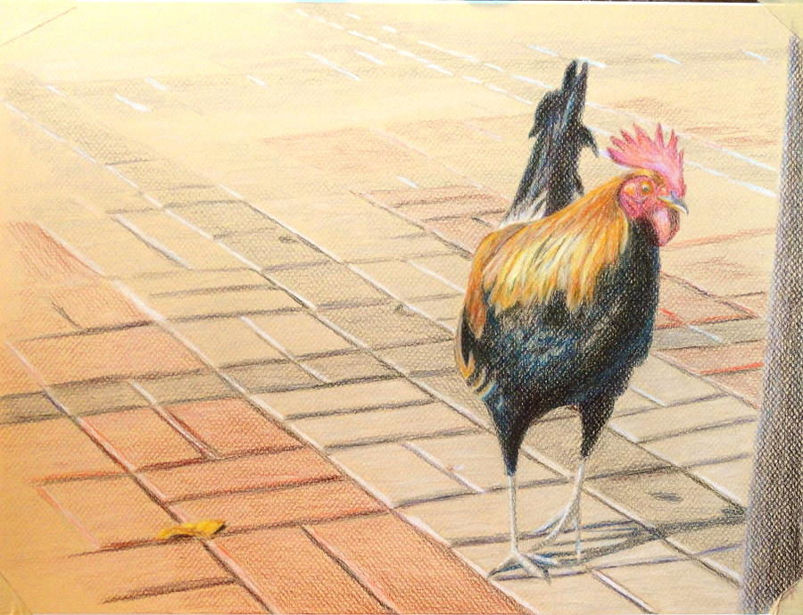 Key West Rooster Painting by John Meyers - Pixels