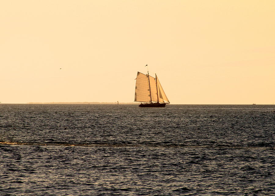 Key West Sail Photograph by Sean Conklin