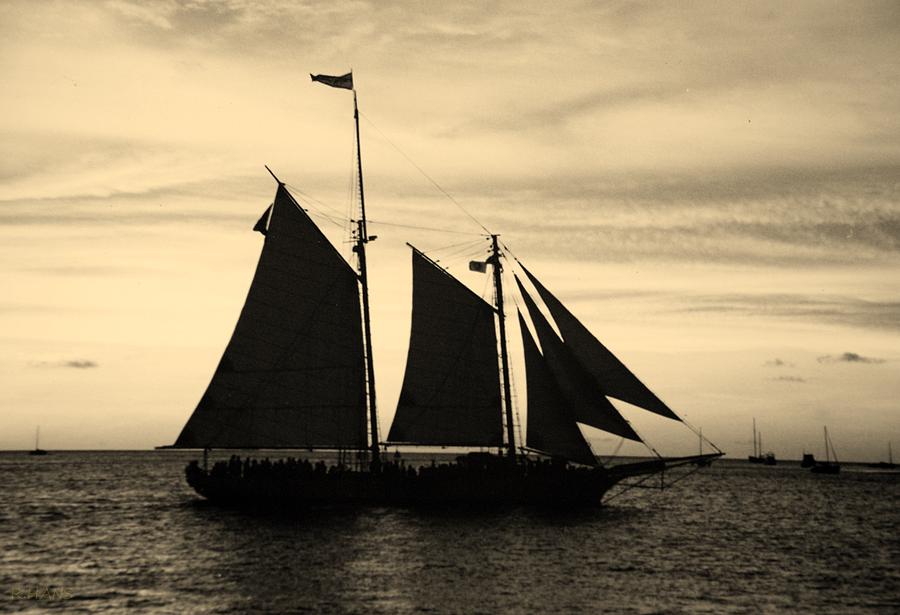 Key West Sails Photograph by Rob Hans