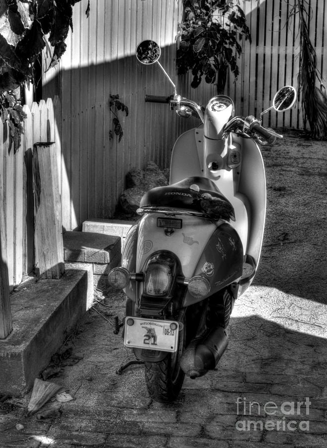 Key West Scooter BW Photograph by Mel Steinhauer
