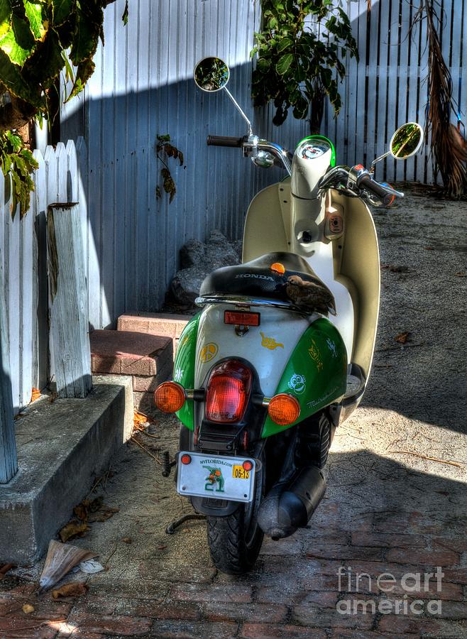 Key West Scooter Photograph by Mel Steinhauer