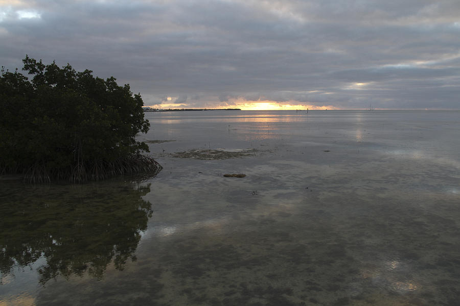 Key West Sunrise 2 Photograph by Bob Slitzan