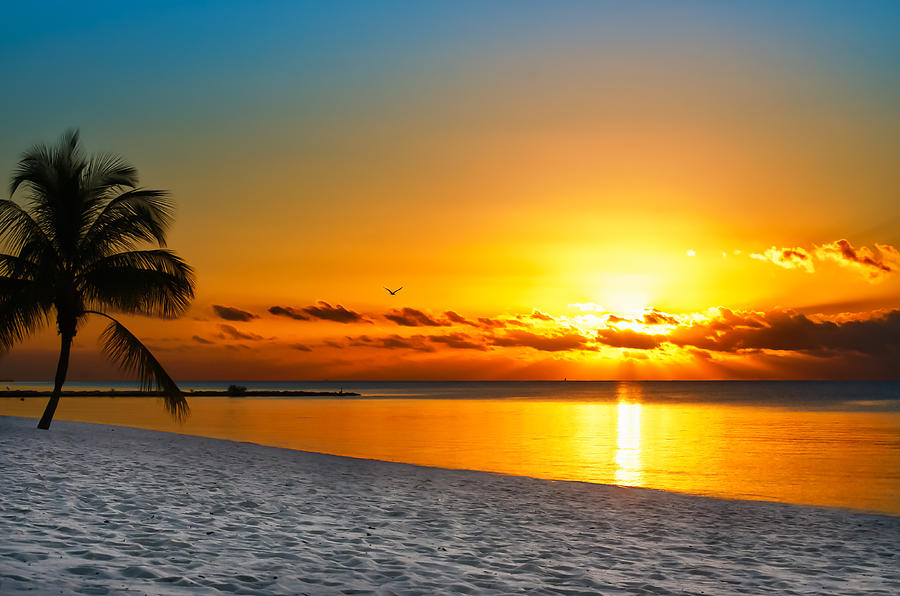 Landscape Photograph - Key West Sunrise Reflection by Vaughn Garner
