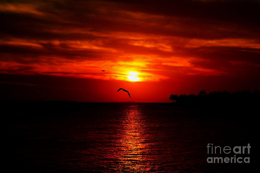Key West Sunset Photograph by David Rucker