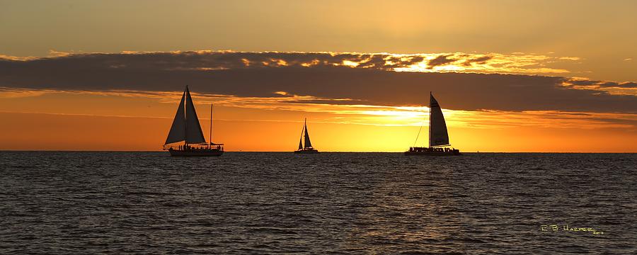Key West Sunset Fleet Photograph by R B Harper