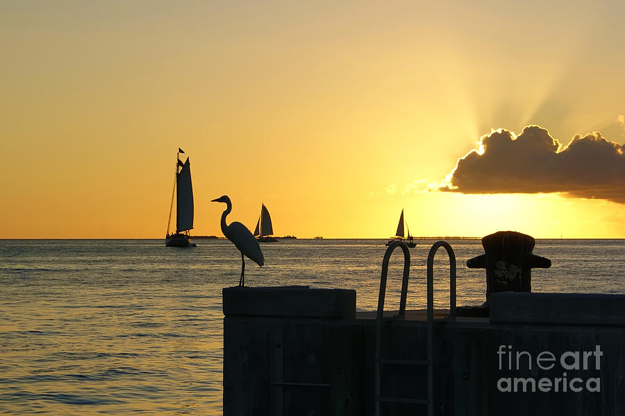 Key West Sunset Photograph by Olga Hamilton